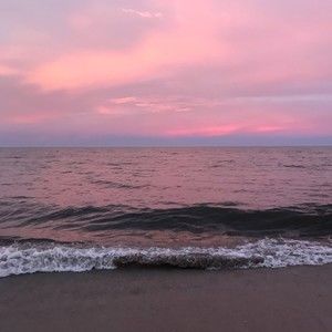 Meet your Posher, Lynn